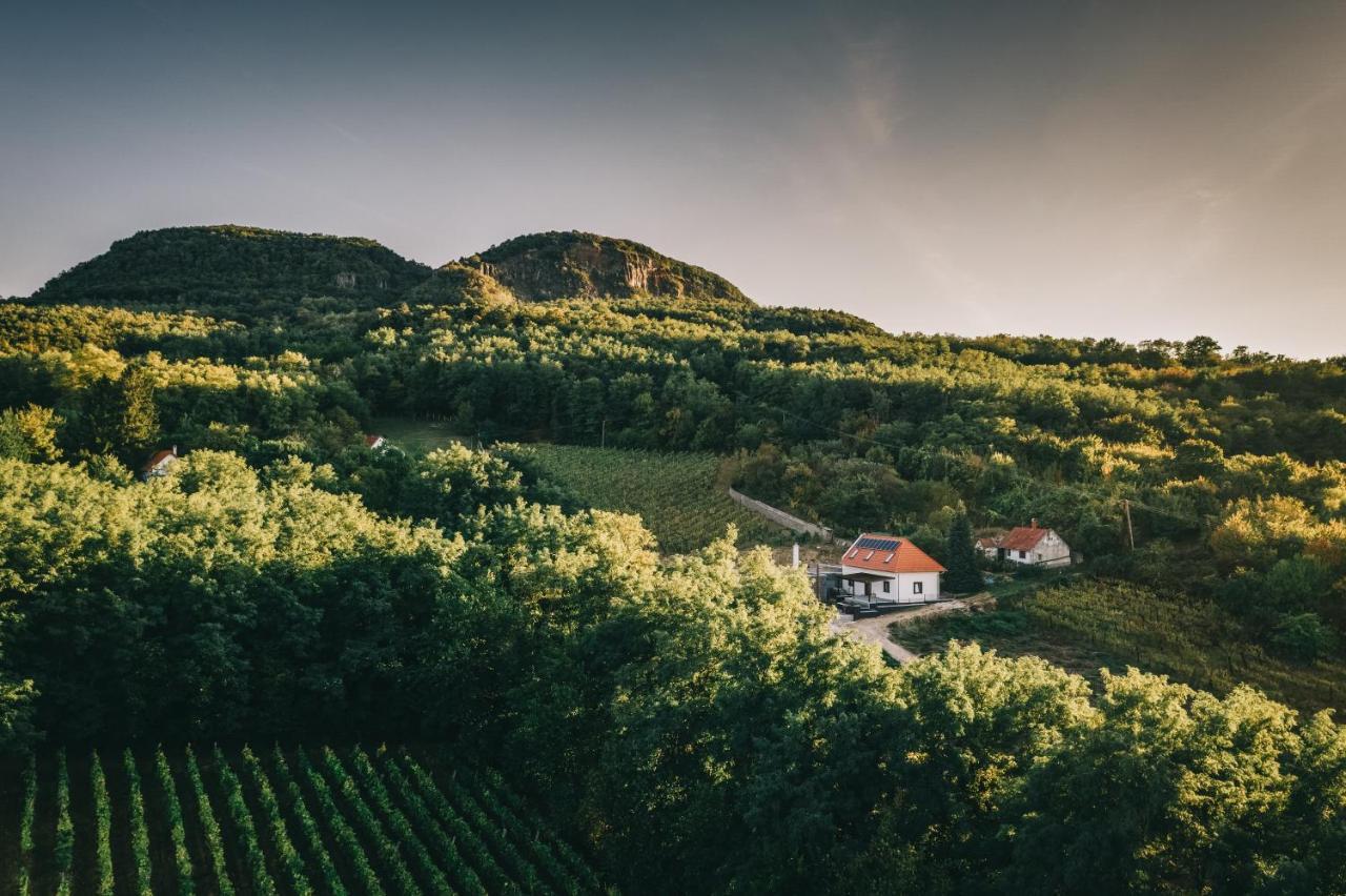 Fata Birtok Hotel Nemesgulács Buitenkant foto